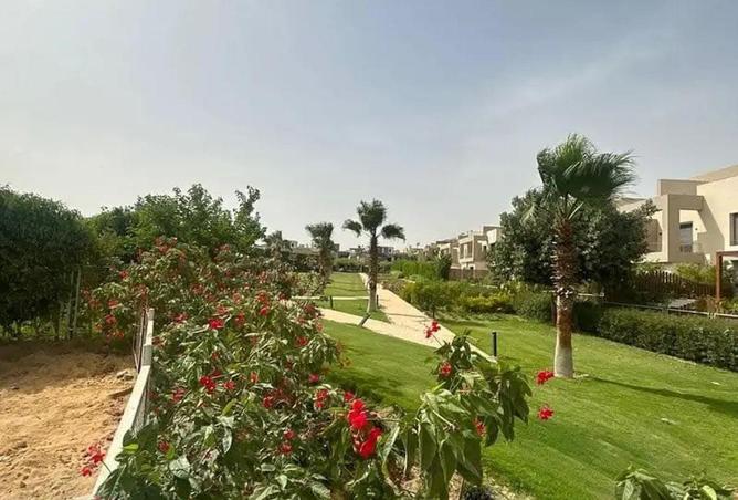 52446501 - Property Image 3