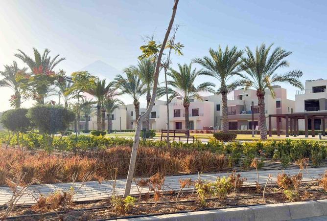 61203478 - صورة العقار 3