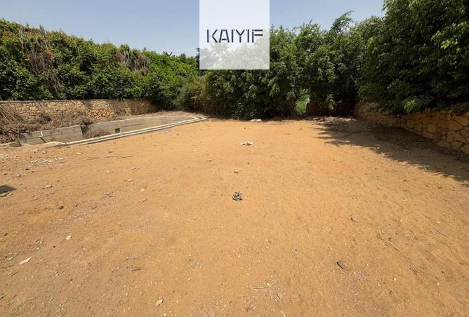 8697193 - صورة العقار 2