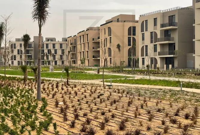 109906147 - Property Image 2