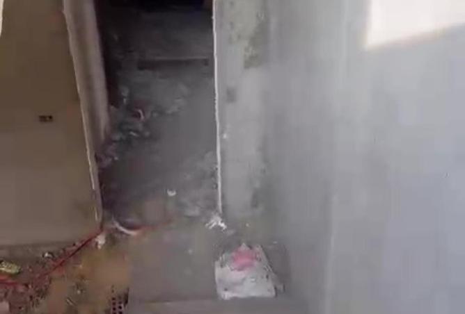 64909825 - Property Image 3