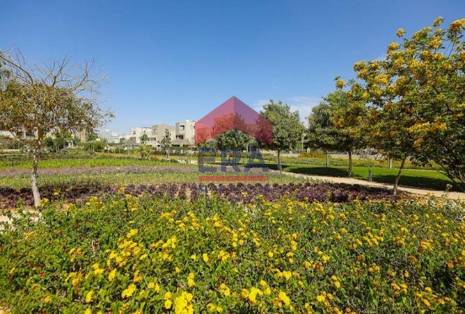 55995779 - Property Image 3