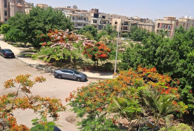 84790102 - صورة العقار 2