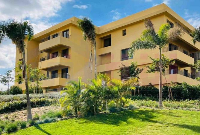 70369461 - صورة العقار 2