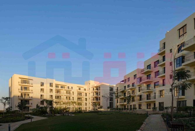 70369461 - صورة العقار 3