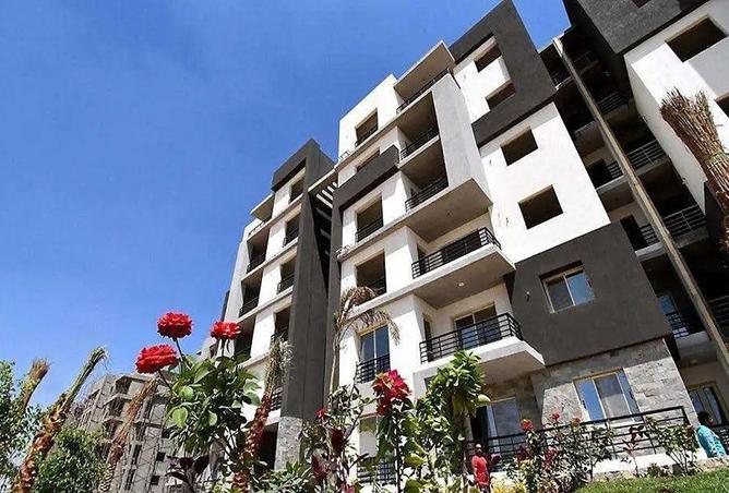 65912735 - صورة العقار 3