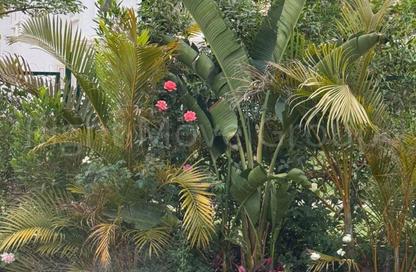 iVilla - 3 - 4 for sale in Mountain View Chill Out Park - Northern Expansions - 6 October City - Giza