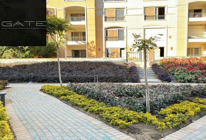 70624615 - Property Main Image