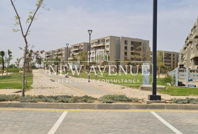 68795833 - Property Image 2