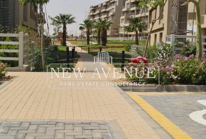 68795833 - Property Image 3