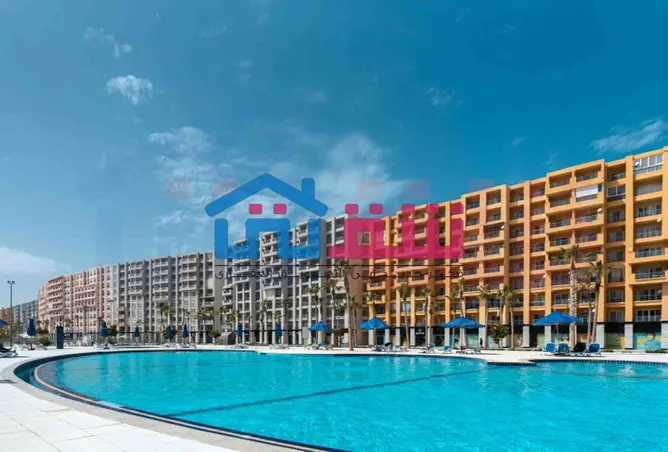 113256717 - Property Image 3