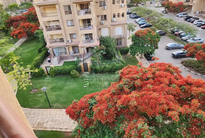119331465 - Property Image 3