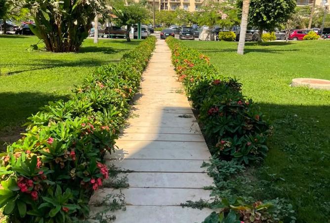 106861262 - صورة العقار 2