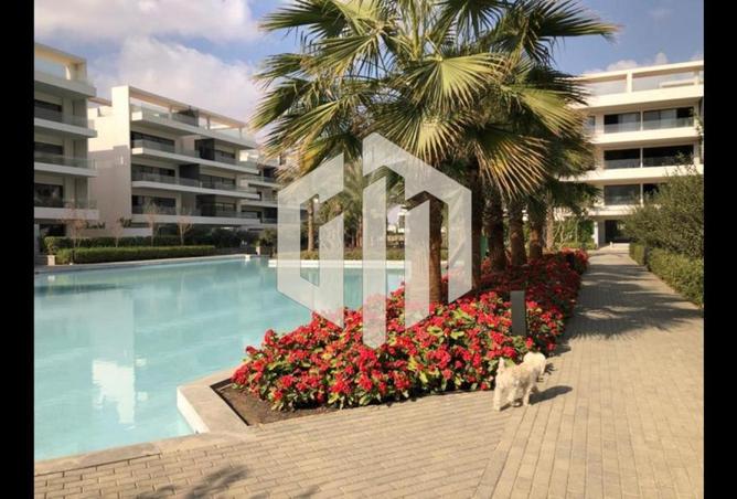 8712983 - Property Image 3