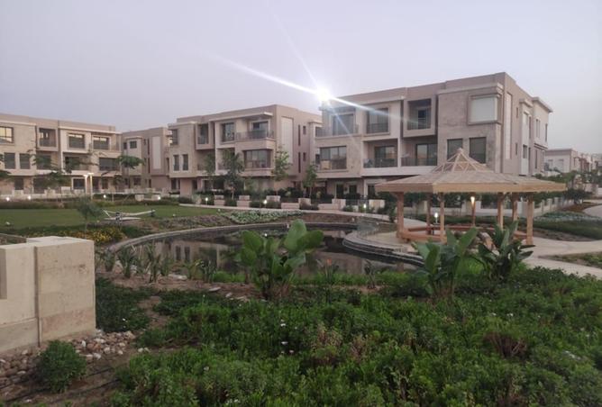 99106387 - Property Image 2
