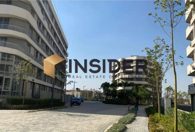 52975369 - Property Image 3