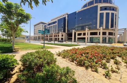 Medical Facility - Studio - 2 Bathrooms for sale in Government District - New Capital City - Cairo