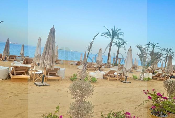 74598655 - صورة العقار 3