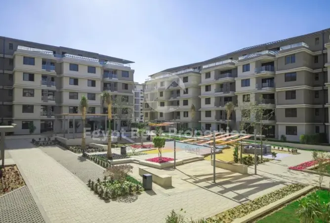 118293067 - Property Image 2