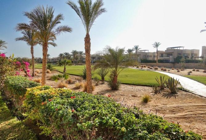 8612401 - صورة العقار 2