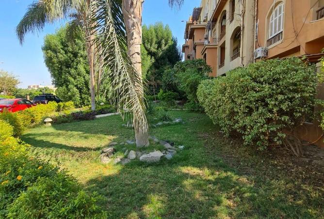 8562086 - الصورة الرئيسية للعقار