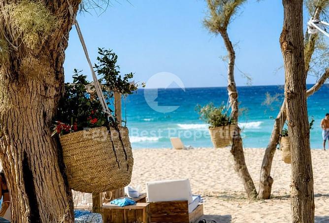 106859816 - الصورة الرئيسية للعقار