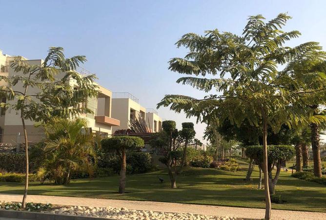 8673265 - صورة العقار 3