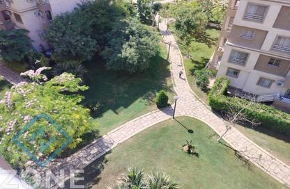 Apartment - 3 Bedrooms - 2 Bathrooms for rent in Privado - Madinaty - Cairo Apartment - 3 Bedrooms - 2 Bathrooms for rent in Privado - Madinaty - Cairo