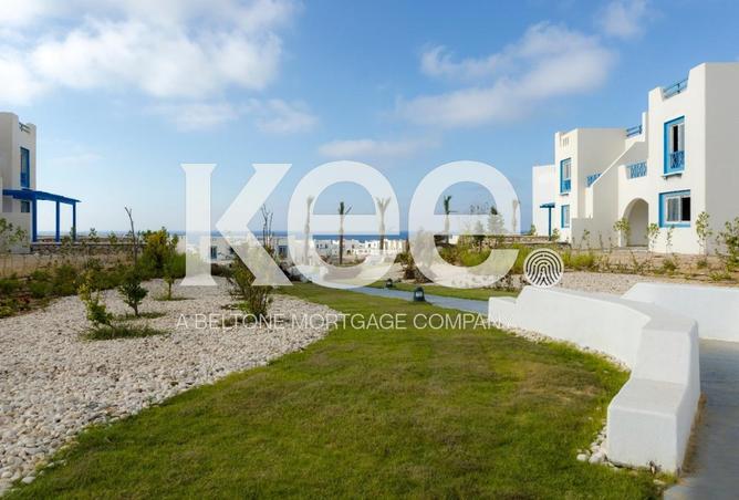 58256185 - صورة العقار 3