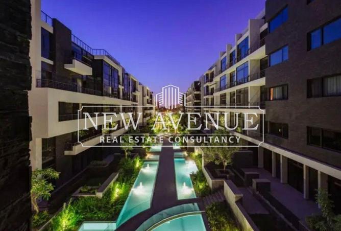 62401239 - Property Image 3