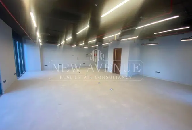 113262042 - Property Image 3