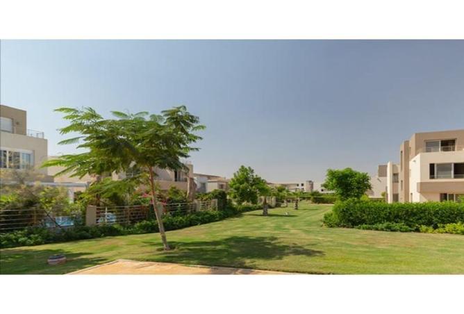 67220397 - Property Image 3