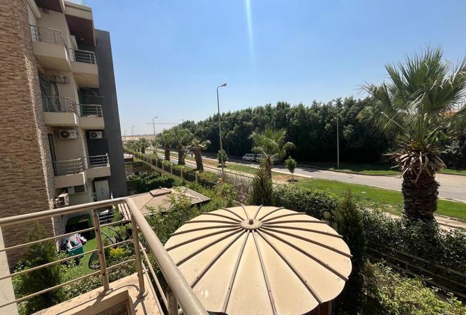 8498594 - Property Image 2