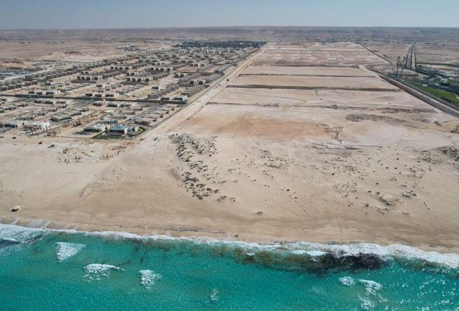 8625610 - Property Image 3