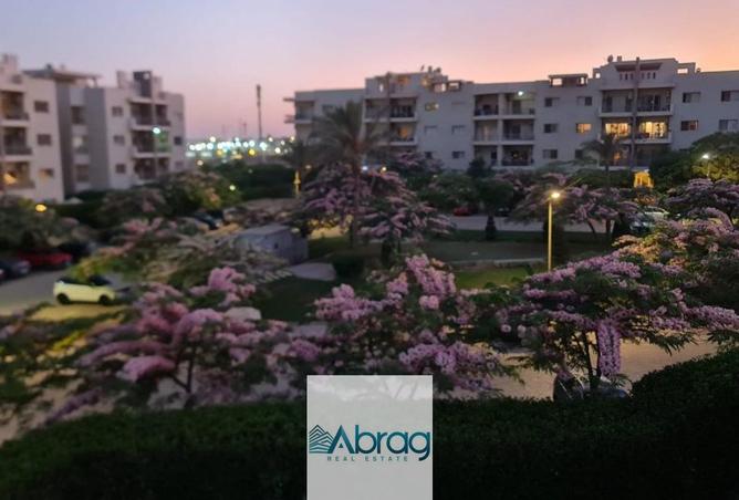97999569 - صورة العقار 2