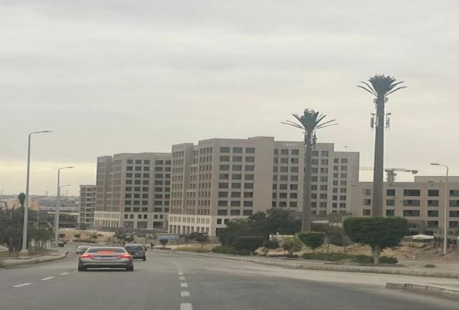 59000042 - صورة العقار 3