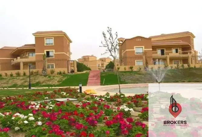116752693 - Property Image 2
