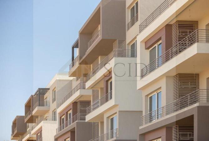 61449455 - صورة العقار 2