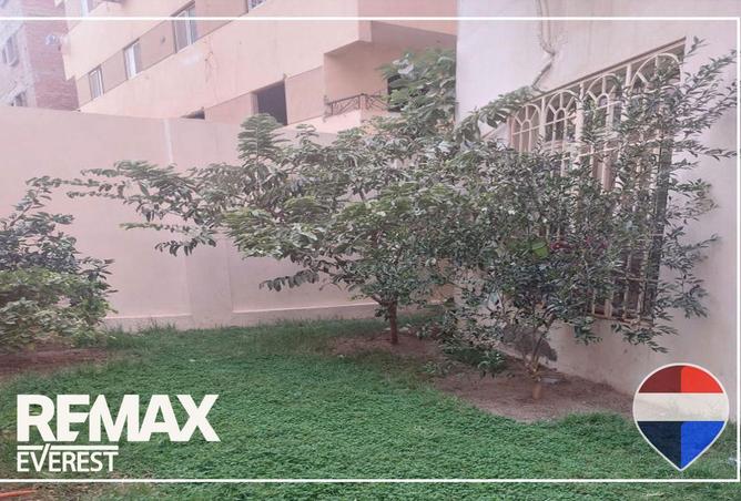 58249050 - صورة العقار 3