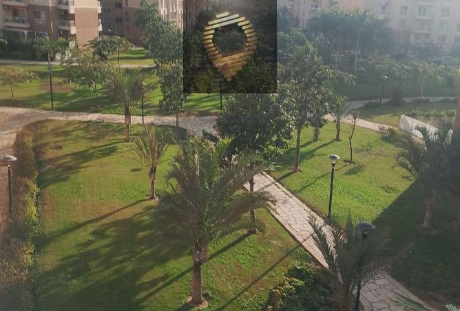 8605253 - الصورة الرئيسية للعقار