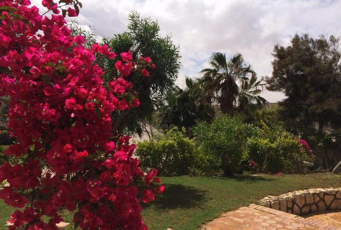 2PHfveCI8OW - صورة العقار 2