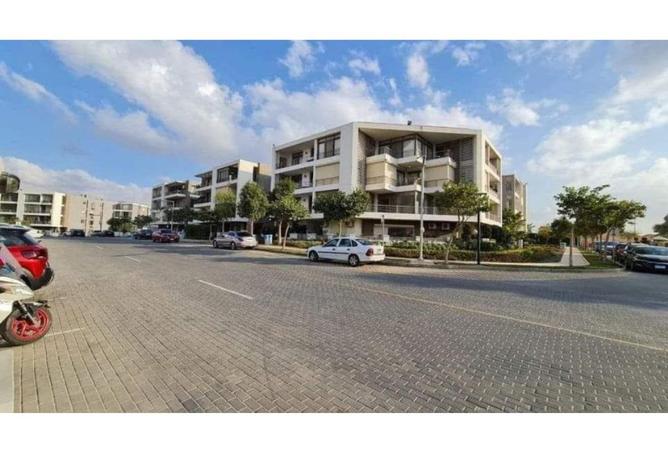 66699625 - Property Image 3