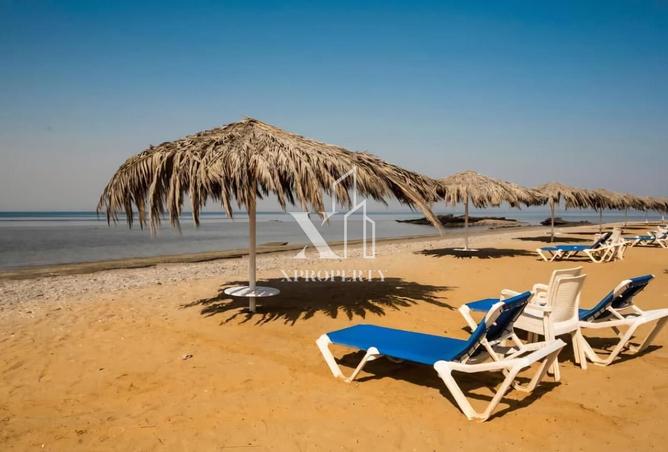 8571342 - صورة العقار 2