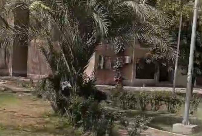 68266439 - صورة العقار 3