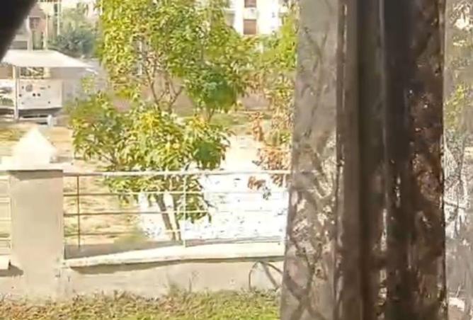 8693867 - Property Image 2