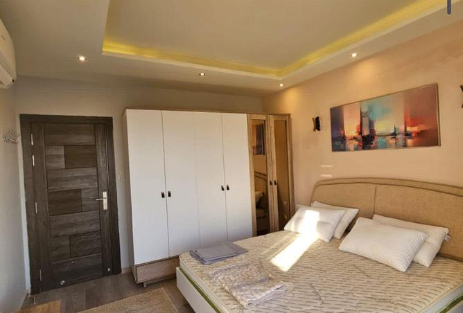 74855454 - Property Image 2