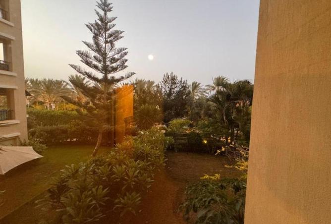 62411337 - صورة العقار 3