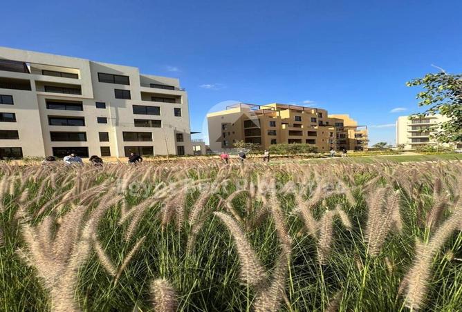 8602899 - Property Image 3