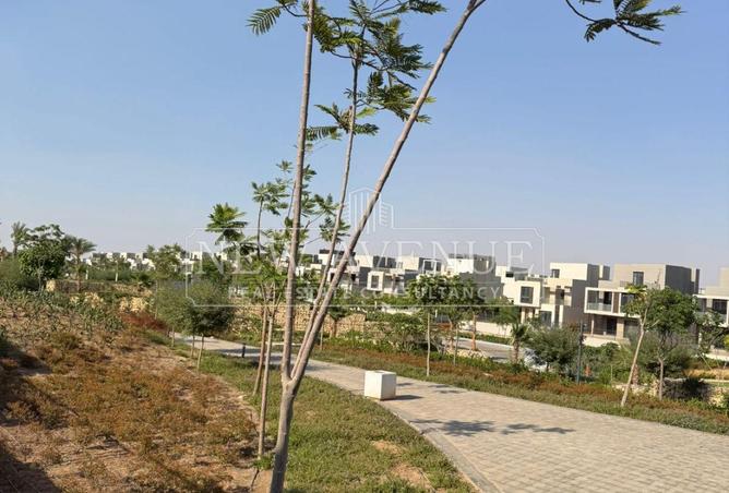 99387478 - Property Image 3