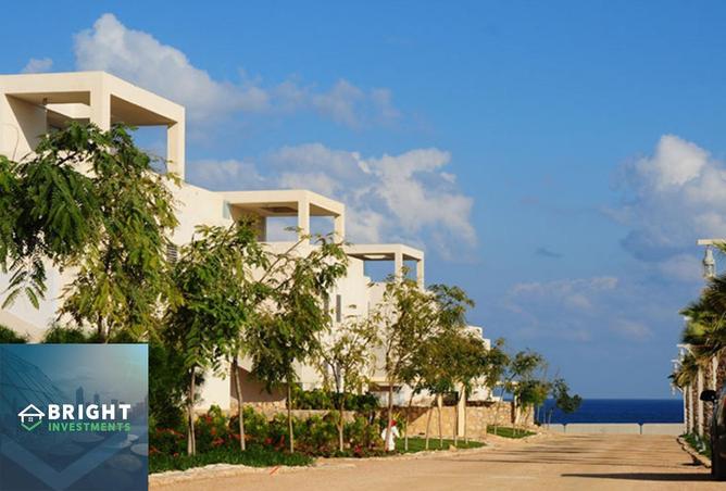 8586061 - Property Image 3